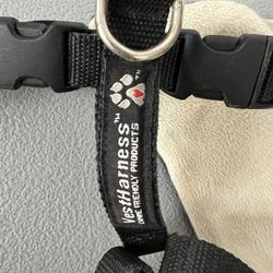Pet Harness For Seat Belts