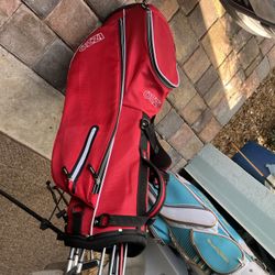 Ladies RH Golf Clubs Full Set Callaway's 4-PW Graphite L-Flex Cavity Type Irons Easiest To Hit With Putter Woods & New Standbag