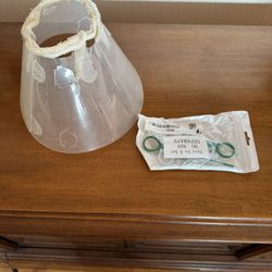 BOTH Dog Cone and Pill Poppers BOTH FOR 