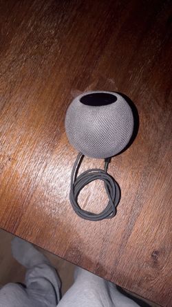 Home mini