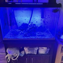 60 Gallon Salt Tank