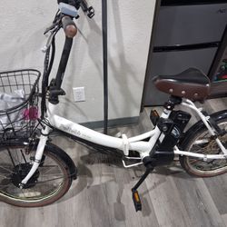 PELTECH ELECTRIC BIKE