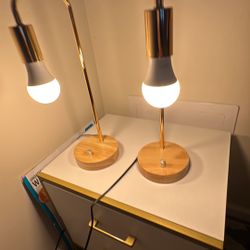 Arched Lamp With Smart Bulb