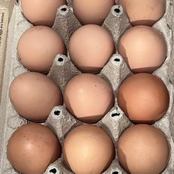 Dozen Free Range Farm Fresh Eggs