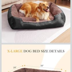 Dog Bed