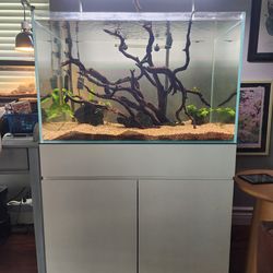 Ultum Nature Systems 90U Aquarium Setup (Includes Extras)