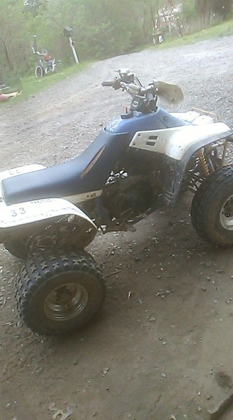 Photo 1987 Yamaha Warrior