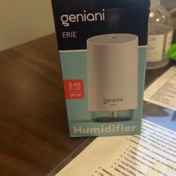 Mini Humidifier 
