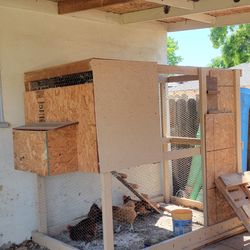 Chicken Coop