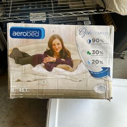 Inflatable Queen Bed