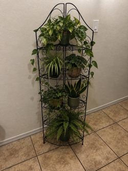 Vintage Black Wrought Iron 5-Tier Corner Plant Stand Foldable Home Decor