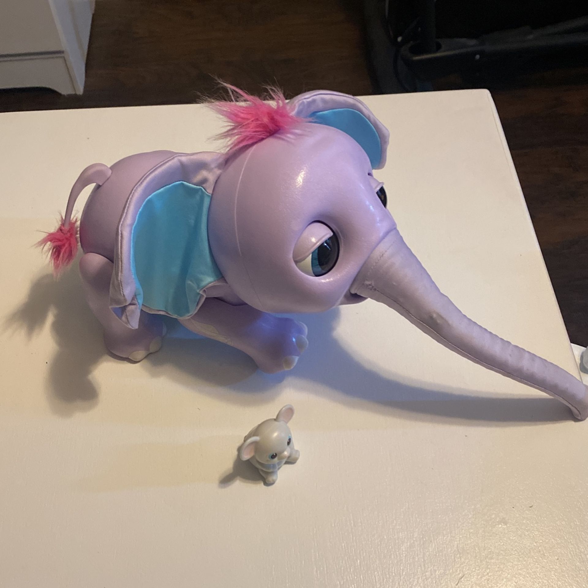 Juno Elephant