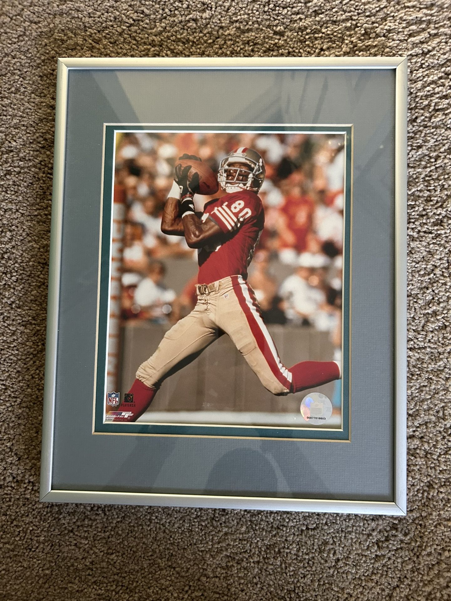 Jerry Rice Photo