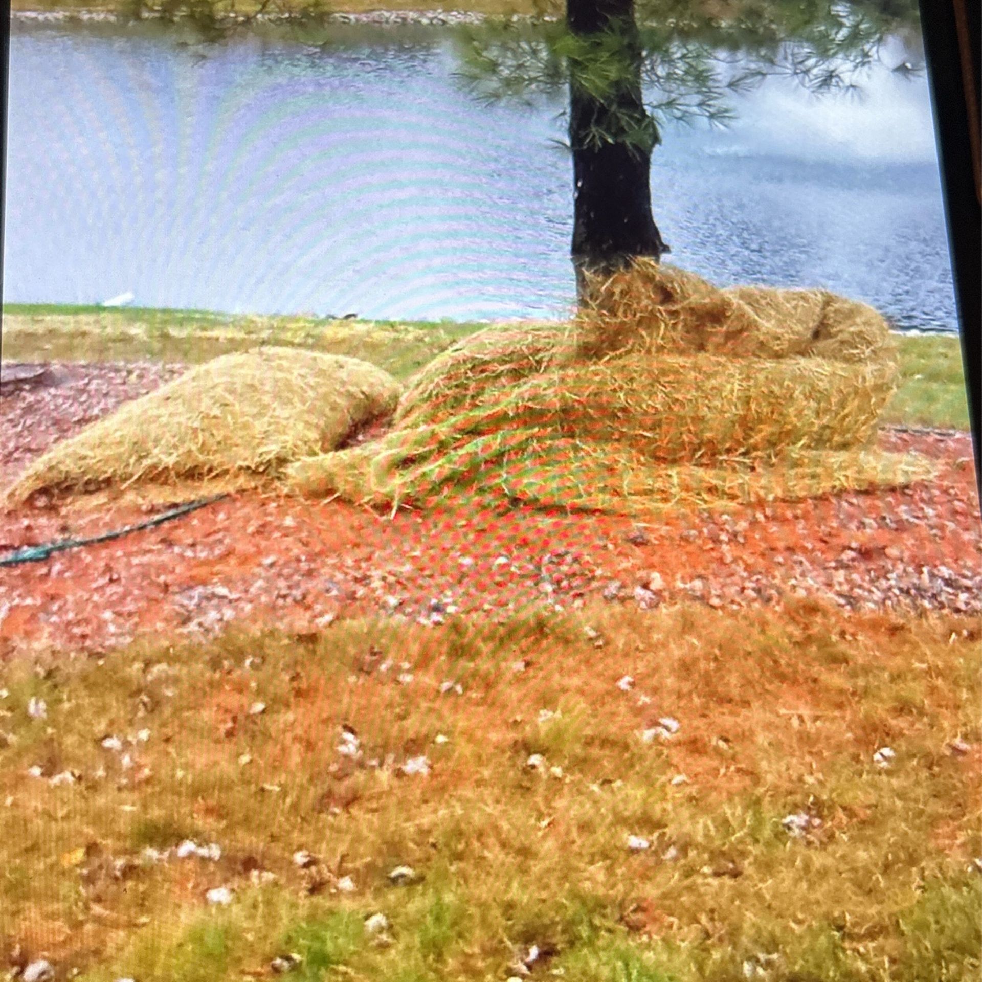 HAY ROLLED IN A NET FOR EASY CLEAN UP AND TRANSPORT