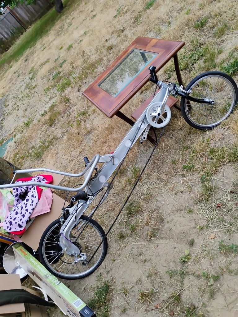 USA Linear Bike Bicycle Sit Down Style