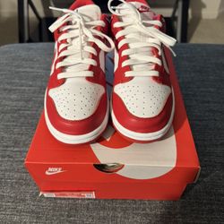 Nike Dunk Low SP Size 9.5