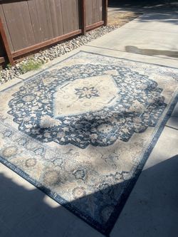 Blue and Cream Medallion Area Rug