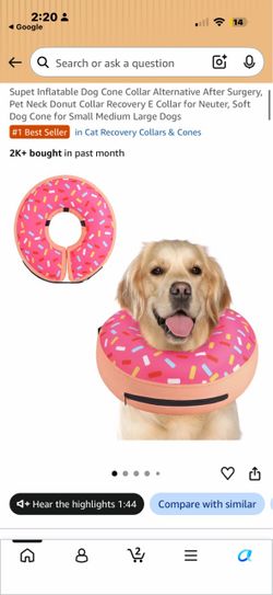 After surgery pet donut