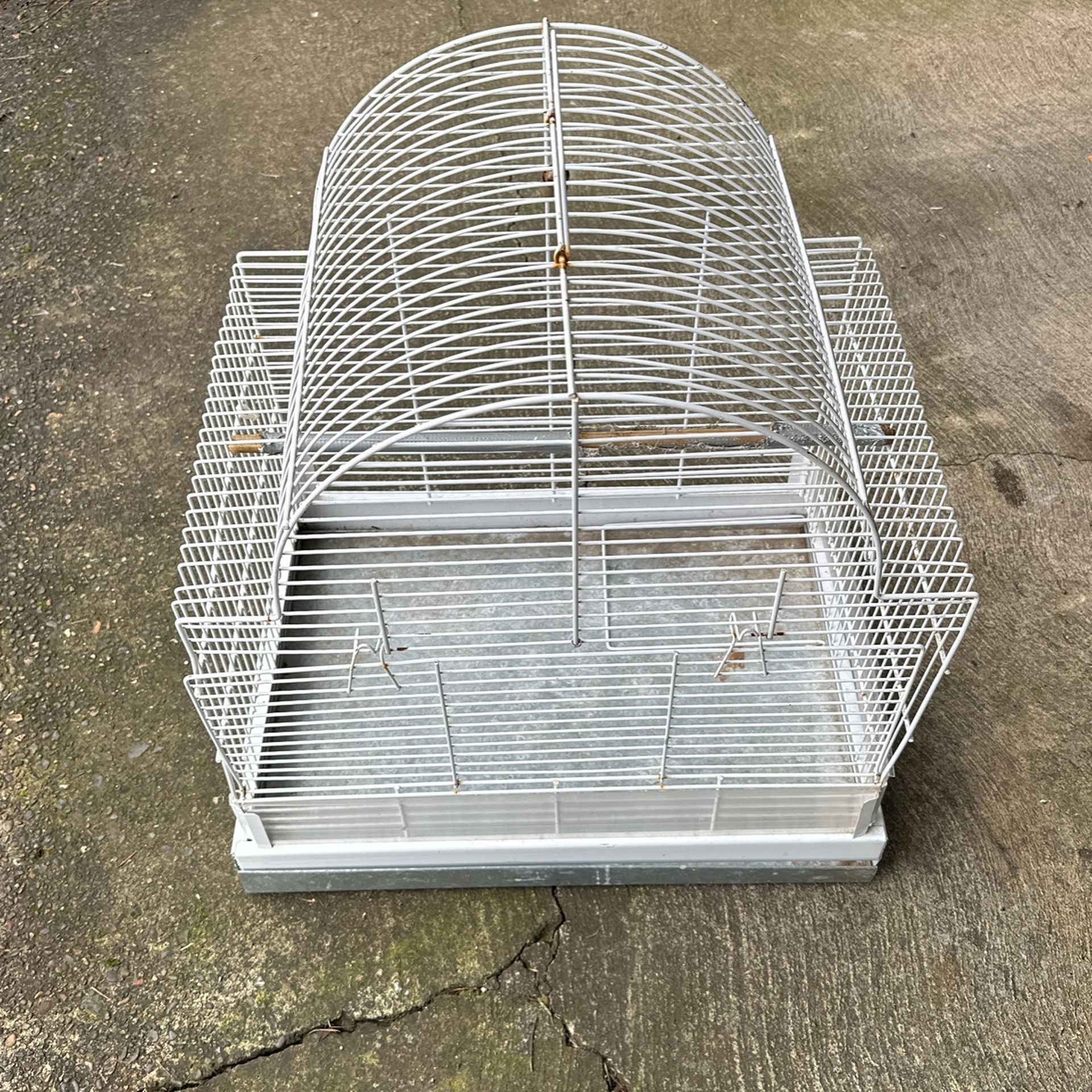 Bird Cage White House 