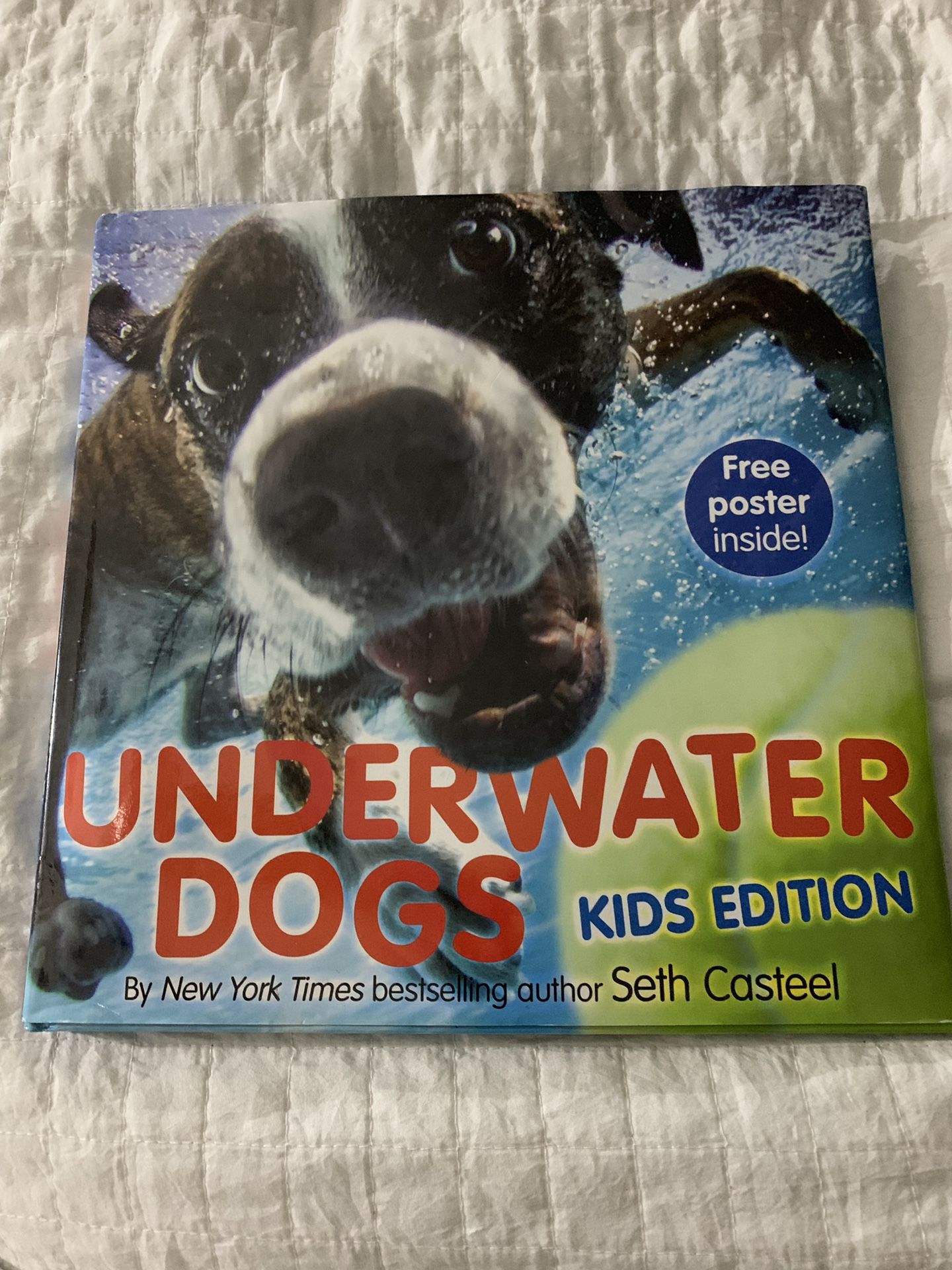 Underwater dog