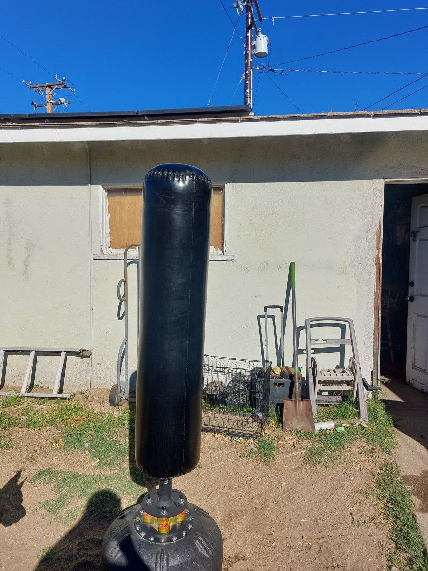 Standing Punching Bag And Gloves