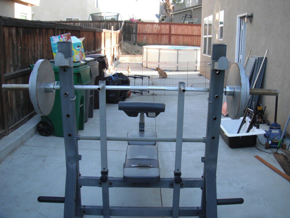 Olympic weight bench w/weights