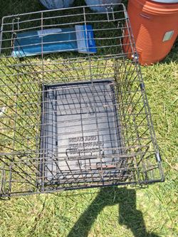 Dog Crate 24in long x 18in wide