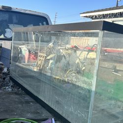Fish Tank