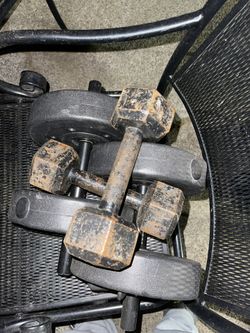 Dumbells And Bench