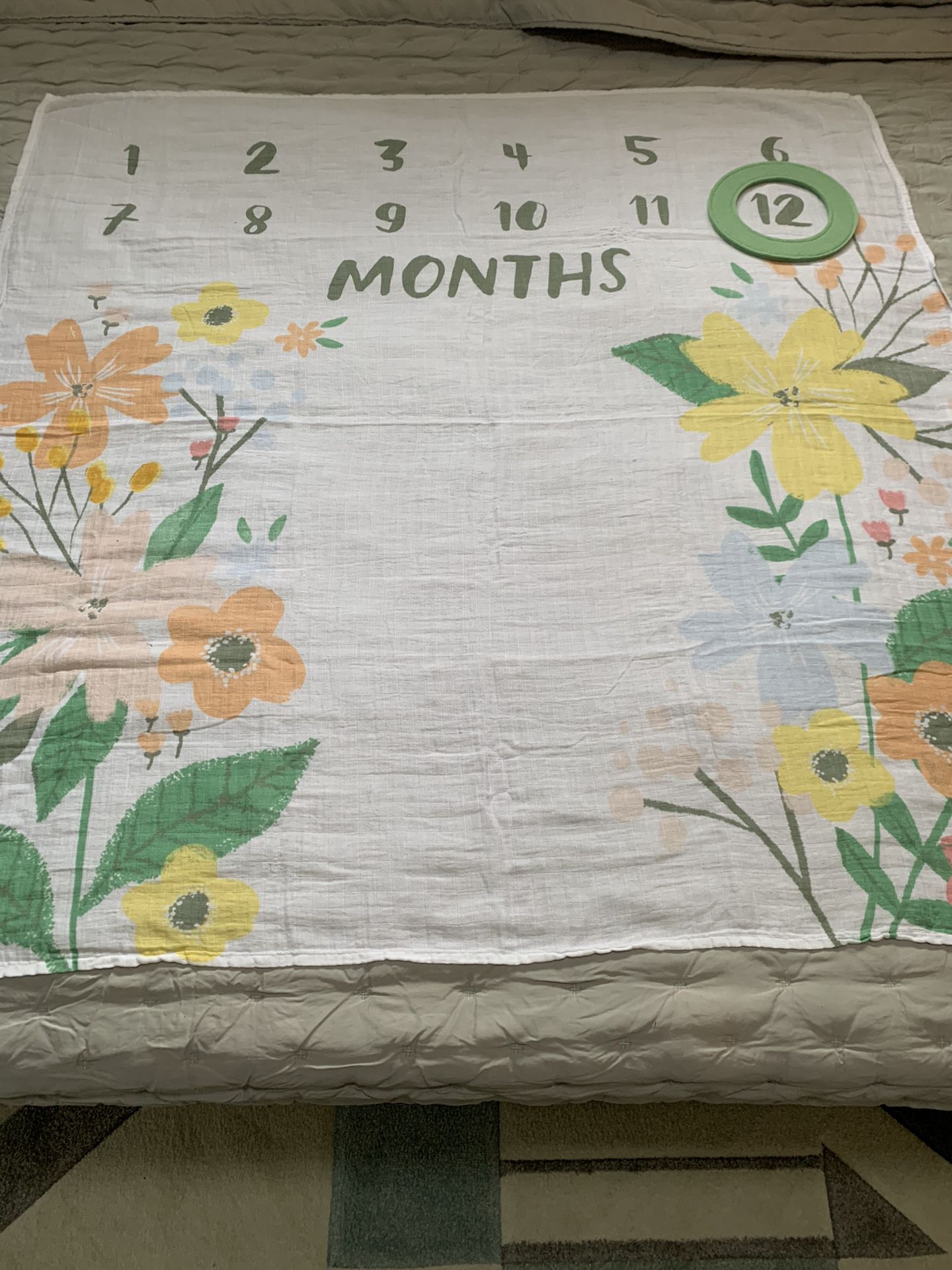 FREE baby Picture Blanket 1-12 Months 
