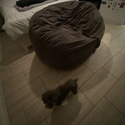 Large bean bag chair
