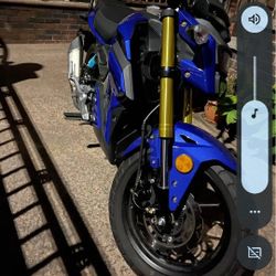 Ice Bear Gator Boss Hoss Grom Clone 