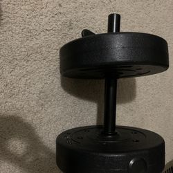 Gymn Weights 
