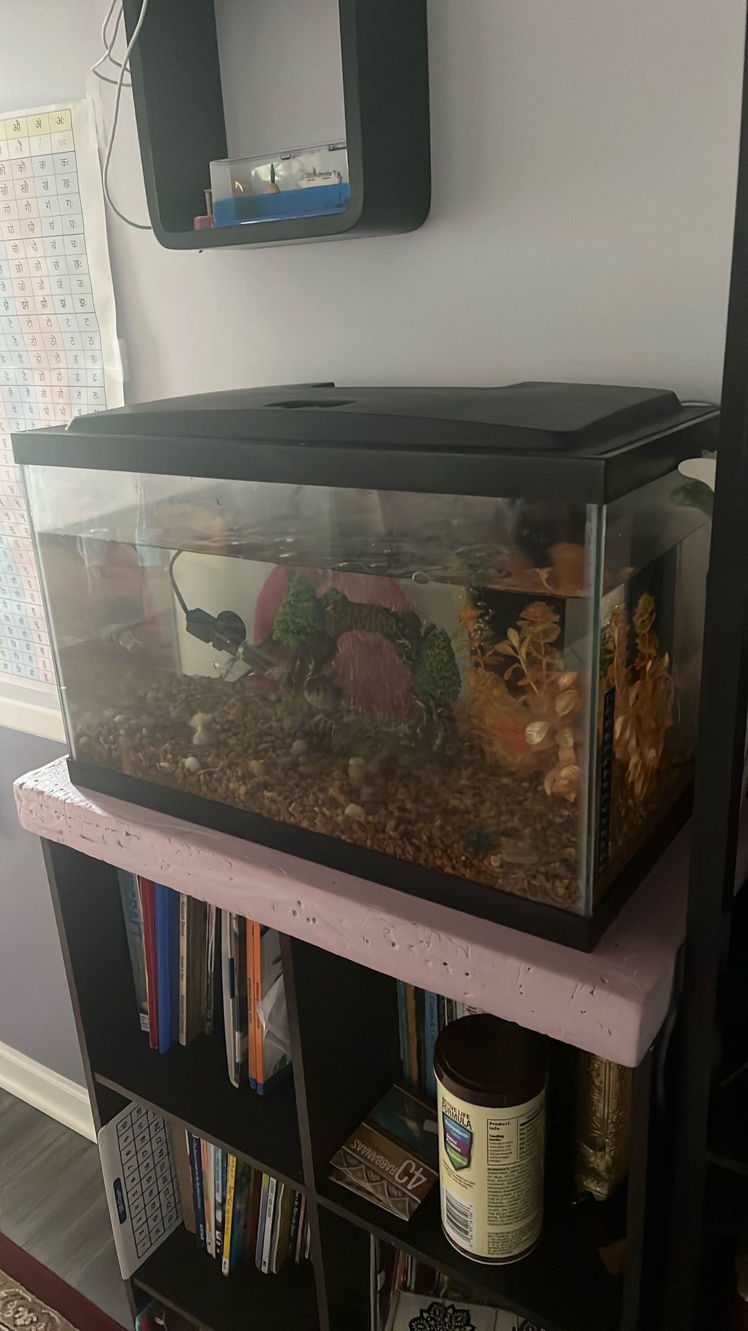Fish Tank With Pump And Filter And Accessories