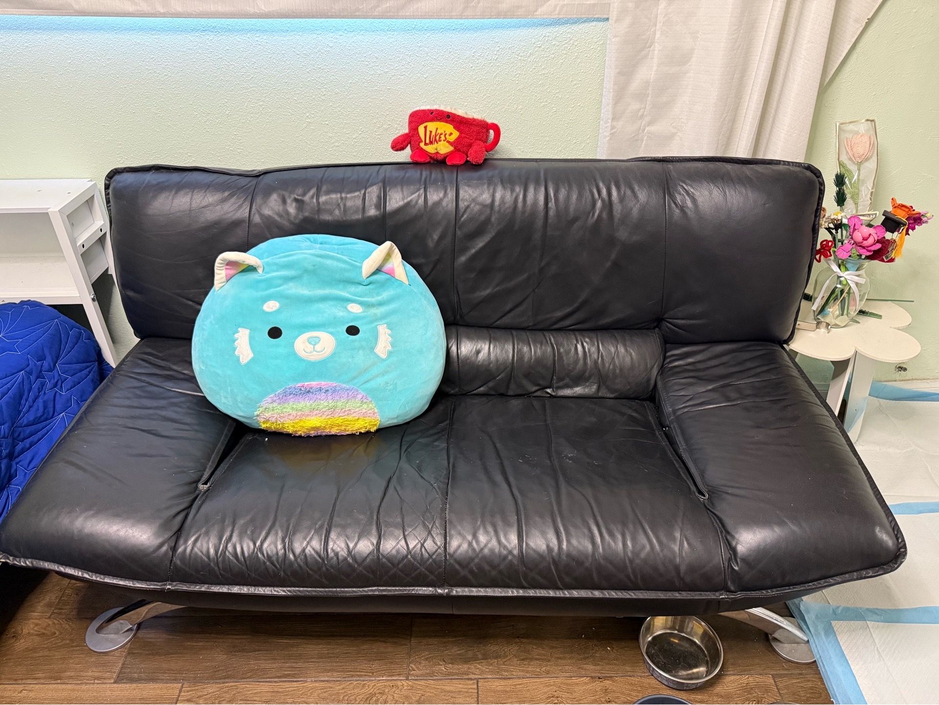 Small Leather couch