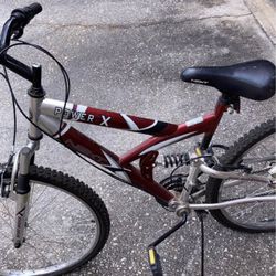 Power X Mountain Bike