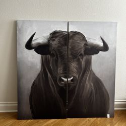 Bull Picture
