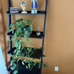 Moving - Furniture And tv Sale 
