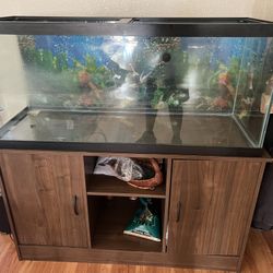 75 + 45 gallon Tanks with Stand