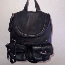 This Wilson Genuine Leather Black Mini Backpack Silver Cheetah Lining Travel