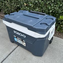 Igloo Cooler