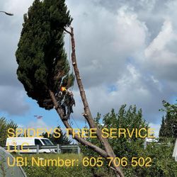 Barter Tree Cutting 