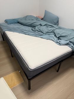Zinus 12 Inch Support Plus Pocket Spring Hybrid Mattress, Queen