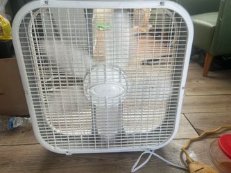 Fan