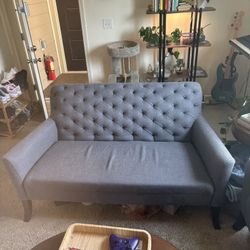 West Elm Couches (set of 2)