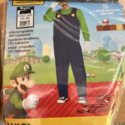 Luigi Adult Costume 