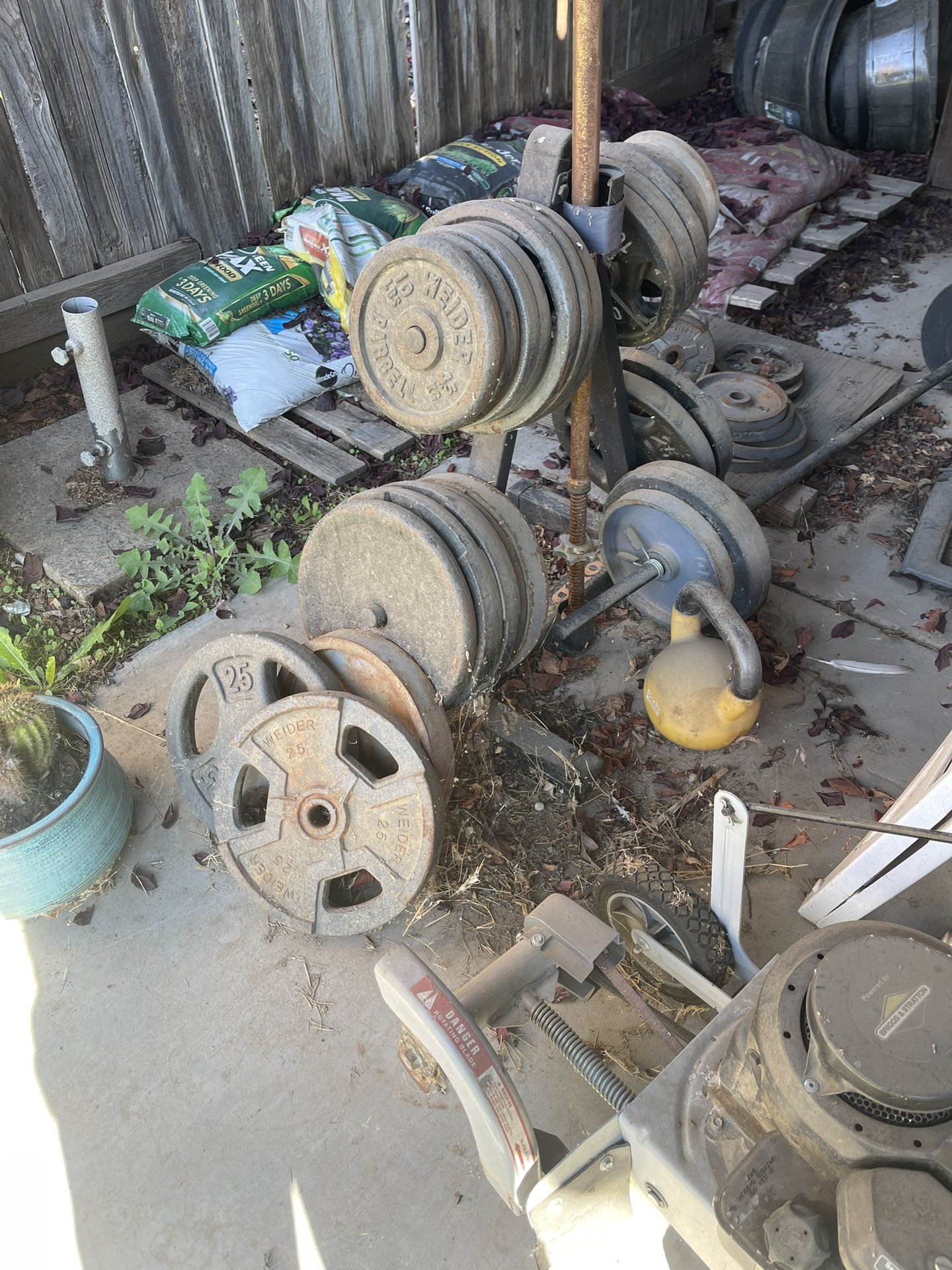 Standard Weights About 300lbs, Bars And Tree $250 OBO 