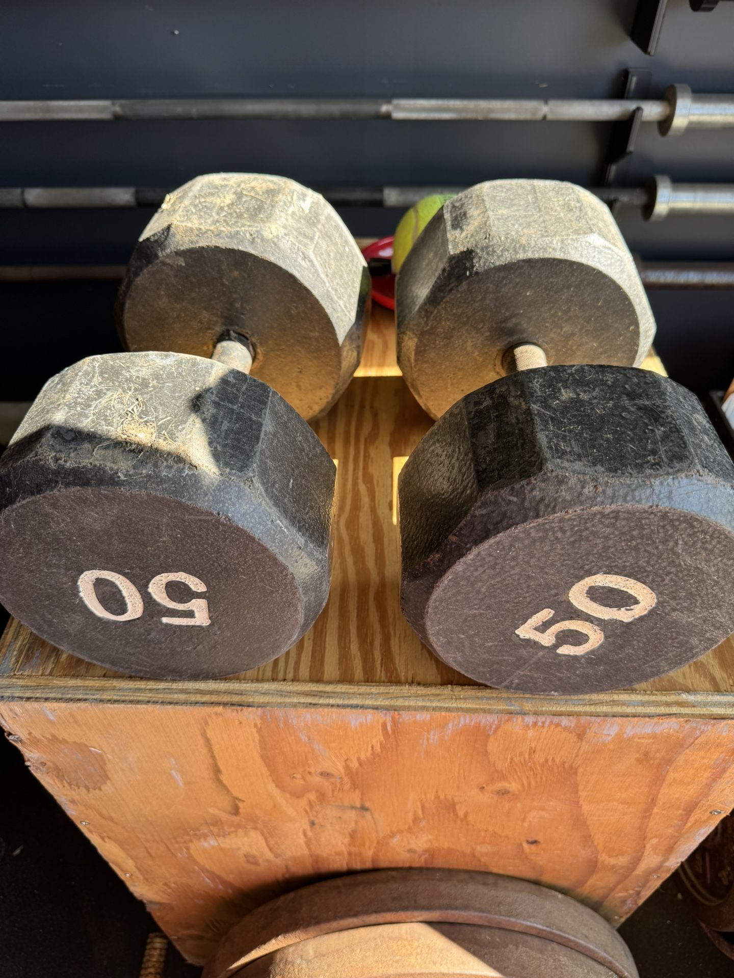 50LB Dumbbells