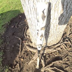 Demarinni "Big Barrell  31 inch Baseball Bat. Located in Glendora