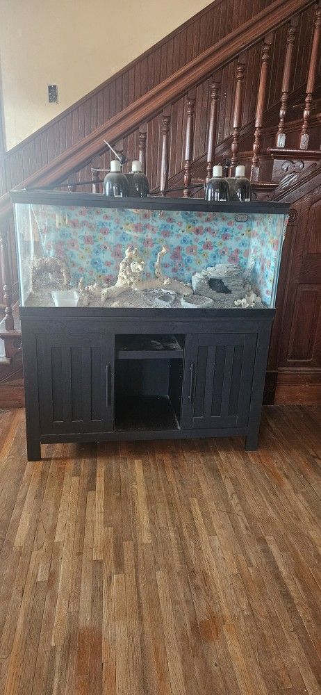 bearded dragon habitat with stand